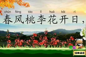 长恨歌 春风桃李花开日 宝贝牛经典诵读 唐代 白居易视频封面