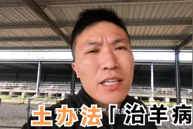 农村养羊最头疼的就是遇到羊得脑炎，损失很大，一个土方法可解决视频封面