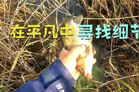 一根蚯蚓反复用，貌似在省钱，实则犯了钓鱼大忌，亏大发了视频封面