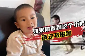 云南2岁男童与狗离奇失踪，8天后狗回到家，孩子仍下落不明视频封面