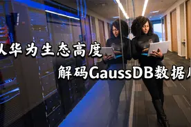 从华为生态高度解码GaussDB数据库，OLTP和OLAP是什么（含案例）
