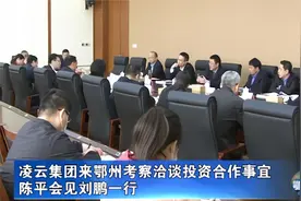 凌云集团来鄂州考察洽谈投资合作事宜视频封面