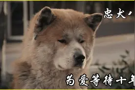 第3集：10年人茫茫，我用一生等待你的出现视频封面