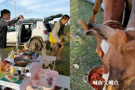 女子露营被牛群炫光“牛丸火锅”，又气又好笑：重庆的牛都吃得辣视频封面