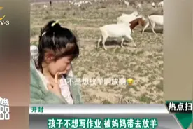 开封：女孩放假不写作业被妈妈带去放羊看羊群直接崩溃：数不过来视频封面