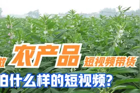 做农产品短视频带货，要拍什么样的短视频？