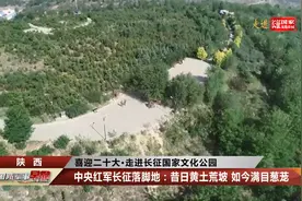 中央红军长征落脚地：昔日黄土荒坡 如今满目葱茏视频封面
