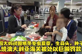 中国大妈试图携带冬虫夏草等违禁品入境澳洲海关，被处以巨额罚款视频封面