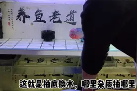 去除小鱼缸底部杂质最好、最容易操作的方法，就是抽底换水视频封面