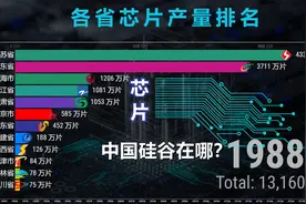 各省芯片产量排名1988-2020，网友：中国的硅谷在哪里？视频封面