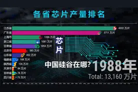 各省芯片产量排名1988-2020，网友：中国的硅谷在哪里？视频封面