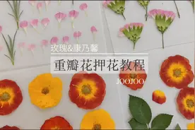 押花教程｜玫瑰和康乃馨可以这样做干花！视频封面