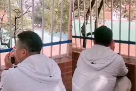 为多看孩子几眼 军爸归队前默默在孩子学校墙外蹲守一上午视频封面