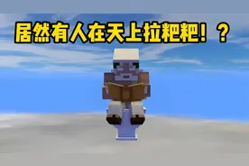 我的世界：居然有人在天上拉粑粑，下面的人可真是遭殃了！视频封面