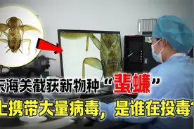 是谁在投毒？广东海关截获新物种“蜚蠊”，身上携带大量病毒视频封面