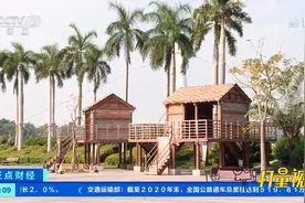 广西南宁：孕妇公园内临产，木屋变“产房”|正点财经视频封面