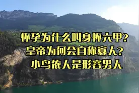 怀孕为什么叫身怀六甲？皇帝为何会自称寡人？小鸟依人是形容男人视频封面