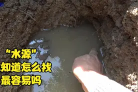 在干旱的地方你知道怎么找“水源”最容易吗，一起分享学习一下视频封面