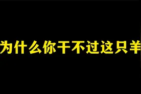 圣经上说的对：世人都是羔羊！视频封面