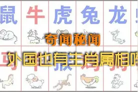 中国每个人都有自己的属相，外国也有生肖属相吗,你会大吃一惊视频封面