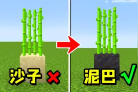 我的世界：种田必备的8个简单技巧！