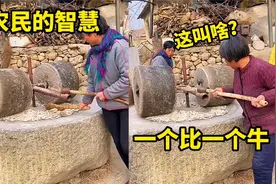 农民的智慧，真是一个比一个牛视频封面