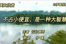 云谷禅师《不占小便宜，是一种大智慧》不计较得与失，人生感悟视频封面