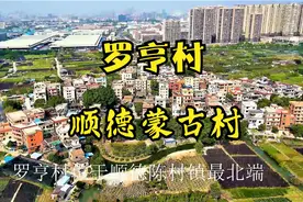 顺德罗亨村住着皇族后裔，祠堂几百年挂龙眼树，原是成吉思汗后人视频封面