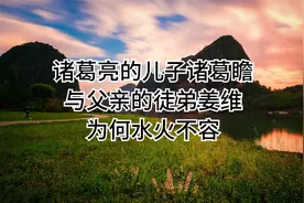 诸葛亮的儿子诸葛瞻，与父亲的徒弟姜维，为何水火不容？视频封面