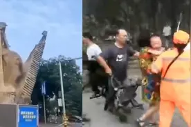 陕西明秦王府一处城墙遗址坍塌，现场多车受损，有孩子惊吓大哭视频封面