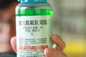 三分钟讲明白高效氯氟氰菊酯.mov视频封面