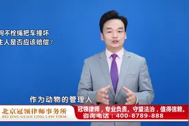路边突然窜出“金毛”把轿车前保险杠撞坏，周旭亮律师权威解读视频封面