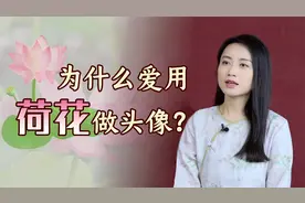 一个人的性格心态，看头像就知道了！为何中老年人都偏爱荷花？视频封面