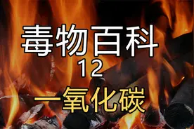 一氧化碳——安静的杀手【毒物百科第12期】视频封面