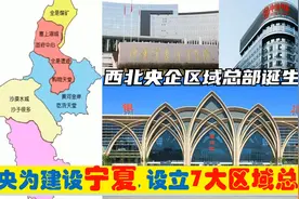 中央为建设宁夏，选定7大央企总部进驻首府银川，西北之星的由来视频封面