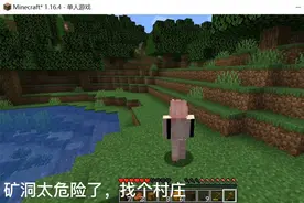 我的世界第2期：无语了视频封面