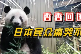 日本究竟有多喜欢熊猫，香香回国日本民众齐身欢送！视频封面