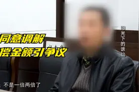 法治天下：双方同意调解，但赔偿金额引争议，最终驳回上诉！视频封面