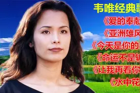 韦唯《爱的奉献》《今天是你的生日》《亚洲雄风》命运不是辘轳视频封面