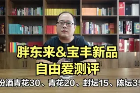 宝丰胖东来自由爱测评，对比汾酒青花30、青花20、封坛15和陈坛35视频封面