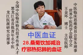 （中医血证）28.桑菊饮加减治疗邪热犯肺的血证视频封面