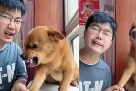 男子唱歌难听遭狗子龇牙吼叫！随即向狗子要钱，狗子：为了钱我听视频封面