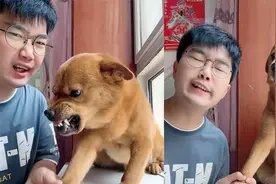 男子唱歌难听遭狗子龇牙吼叫！随即向狗子要钱，狗子：为了钱我听视频封面