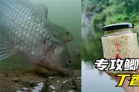 丁香钓鱼真的有那么厉害？水下测试揭露真相，实践证明真实有效视频封面