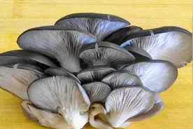 干炸蘑菇要不要焯水，小韩妈妈教你正确做法，外酥里嫩，超好吃视频封面