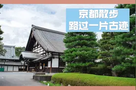 看看日本的古建筑群。安静低调。京都五大寺庙建筑之一视频封面