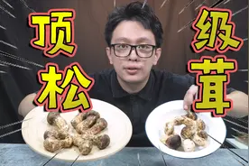 试吃“菌中之王”松茸，500克就要288元，我先替你们吃了！视频封面