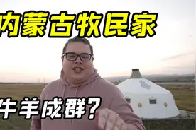 美国小伙游内蒙古大草原，当地牧民人均100头牛？我发现了真相视频封面