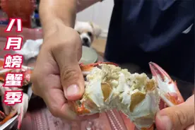 八月开渔季，不容错过的时令海鲜，螃蟹青壳虾餐桌上的美味佳肴视频封面