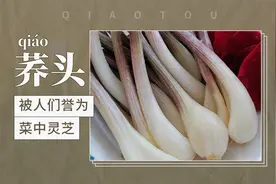 荞头——被人们誉为菜中灵芝视频封面